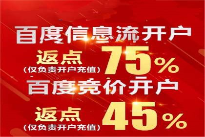 百度竞价赚钱的实战案例分析