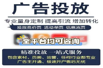 专业SEM服务公司案例分析报告